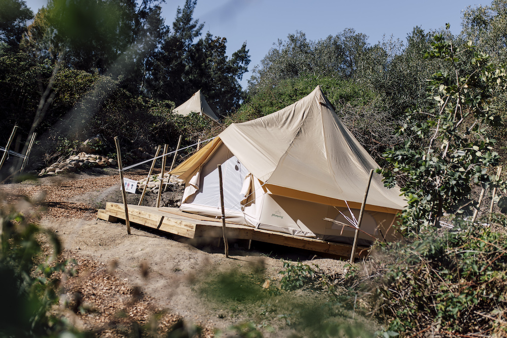 Copy of RTC 41 2.jpg