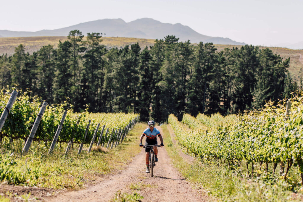 RTC Nov 2024 271 1.jpg